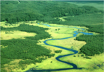 釧路湿原